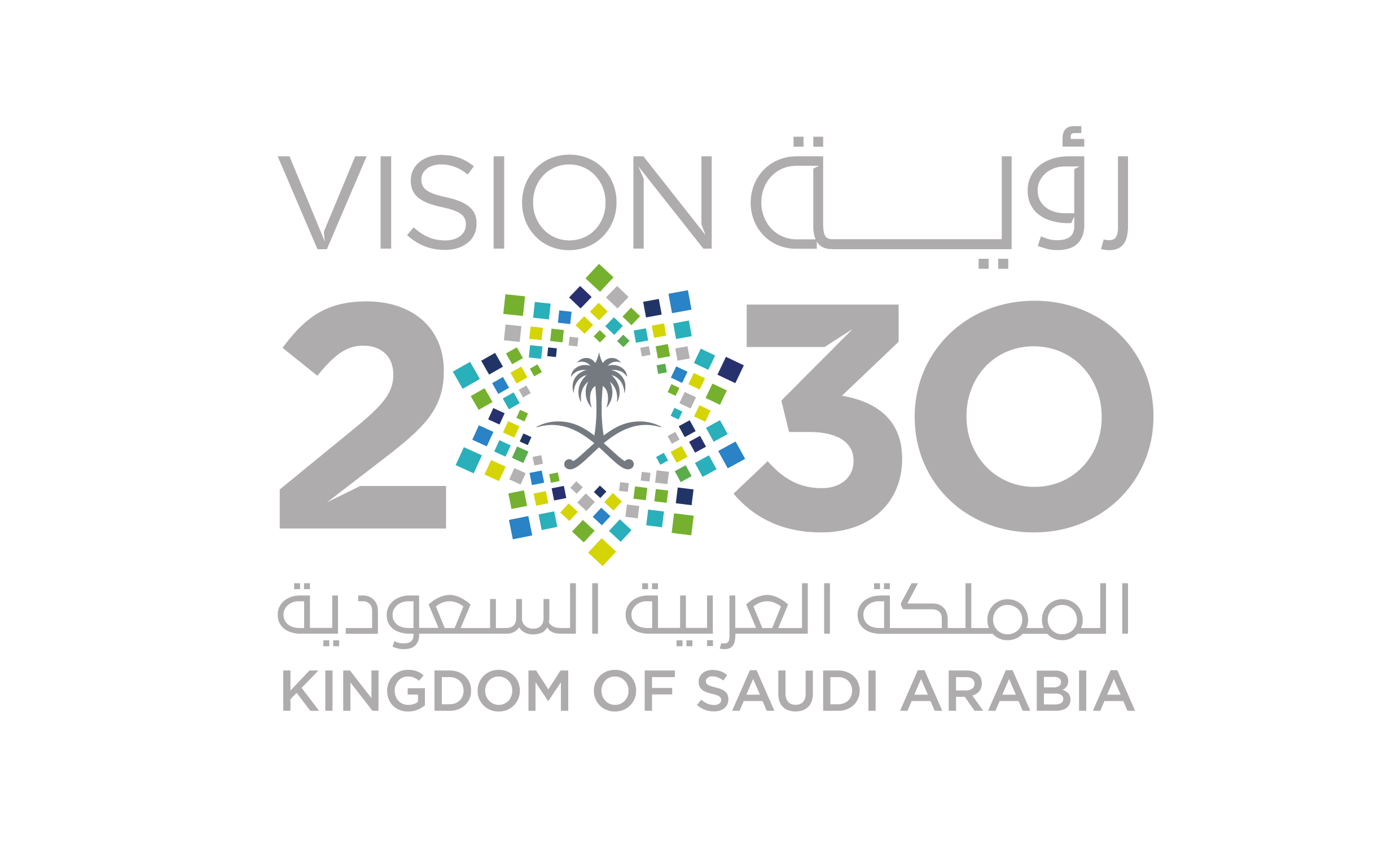 Vision 2030 Logo